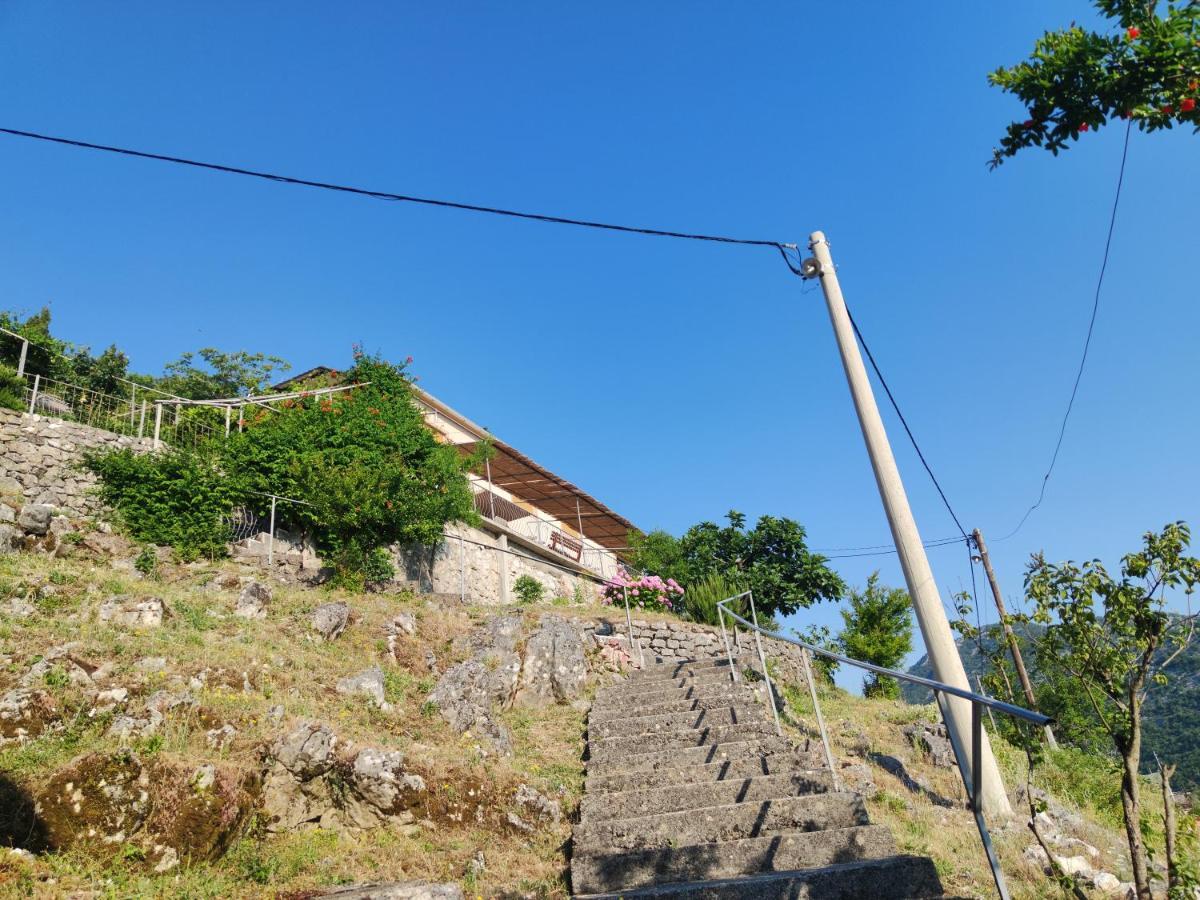 Apartments Lake View Virpazar Exterior photo